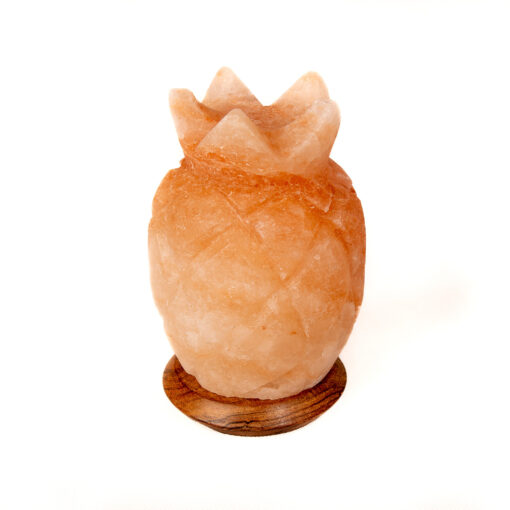 Rózsaszín trópusi ananász sólámpa