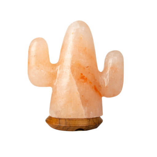 Rózsaszín kaktusz sólámpa