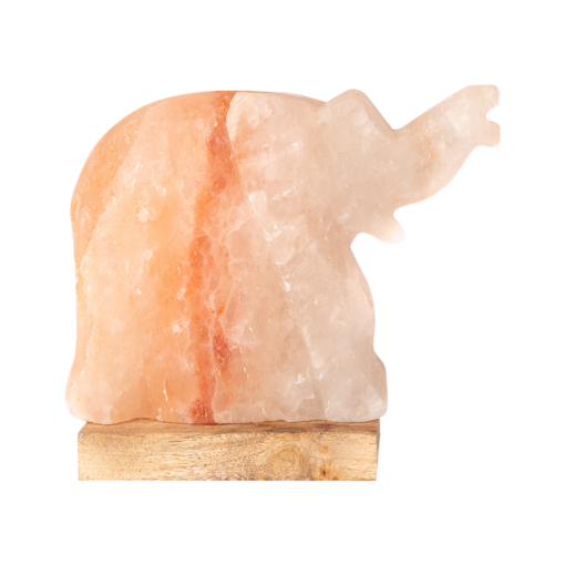 Rózsaszín kaktusz sólámpa