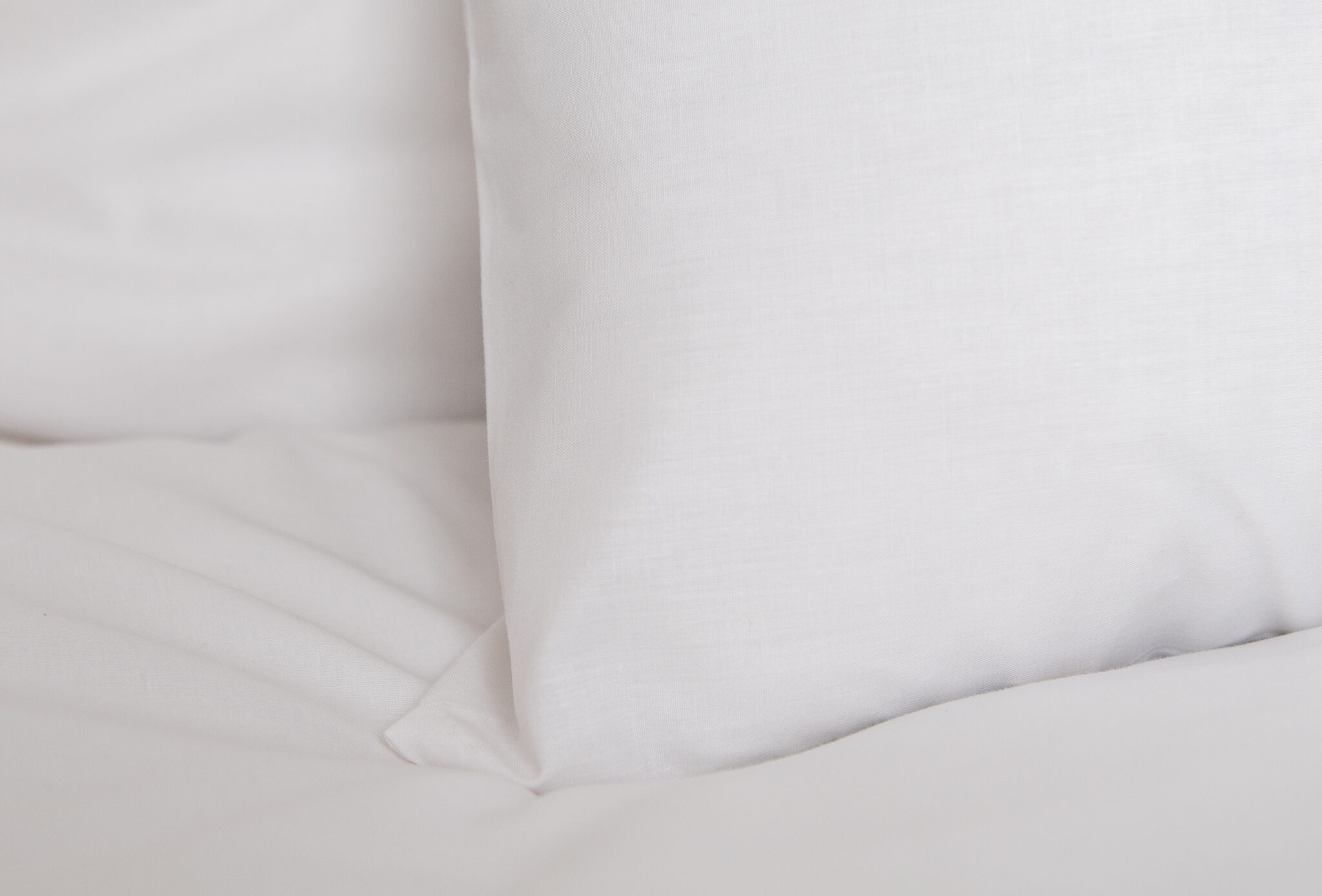 Zafron220417nagy-028